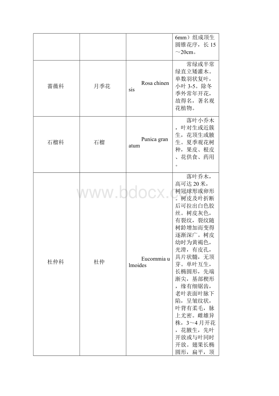 中国农业大学烟台校园植物分科Word文档格式.docx_第3页