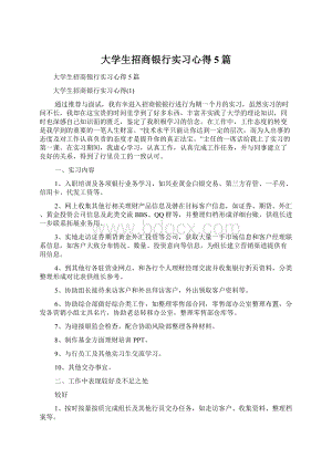 大学生招商银行实习心得5篇.docx