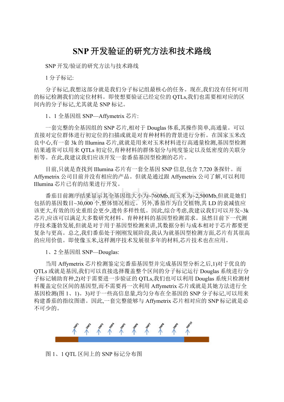 SNP开发验证的研究方法和技术路线Word文档格式.docx