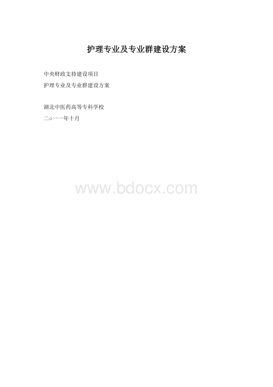 护理专业及专业群建设方案.docx