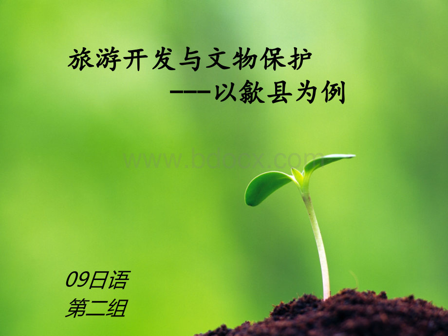 文物保护与旅游开发的文献综述.ppt_第1页