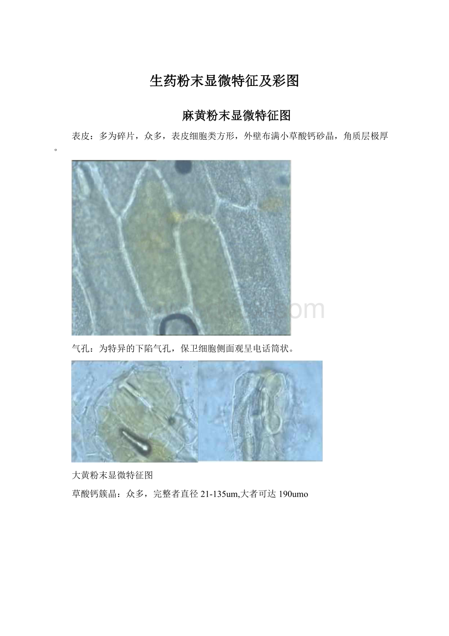 生药粉末显微特征及彩图.docx