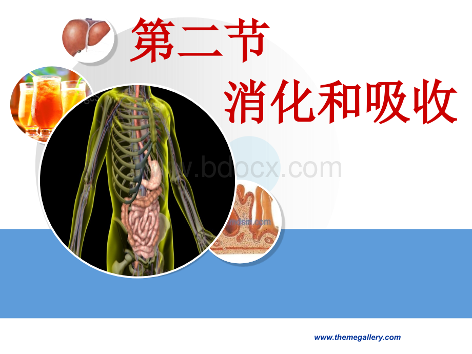 人教版七年级下册生物4.2.2消化和吸收(46张ppt)优质PPT.ppt