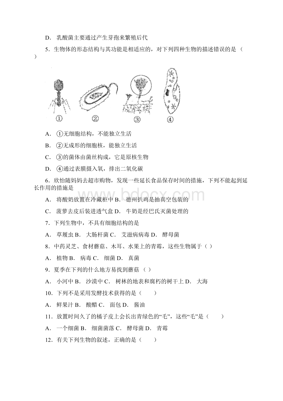 初中生物中考总复习生物圈中的微生物含答案解析Word文档格式.docx_第2页