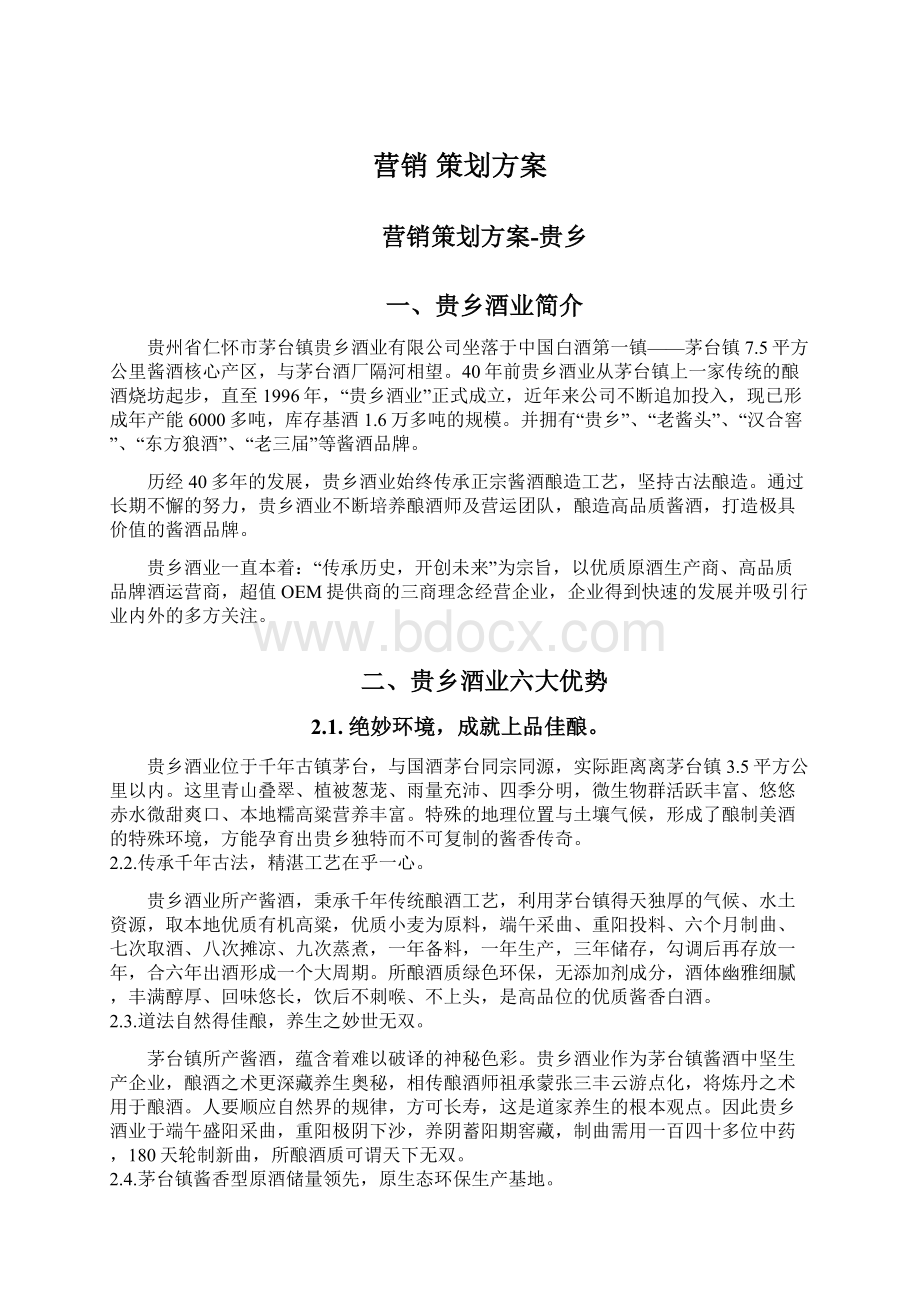 营销 策划方案文档格式.docx