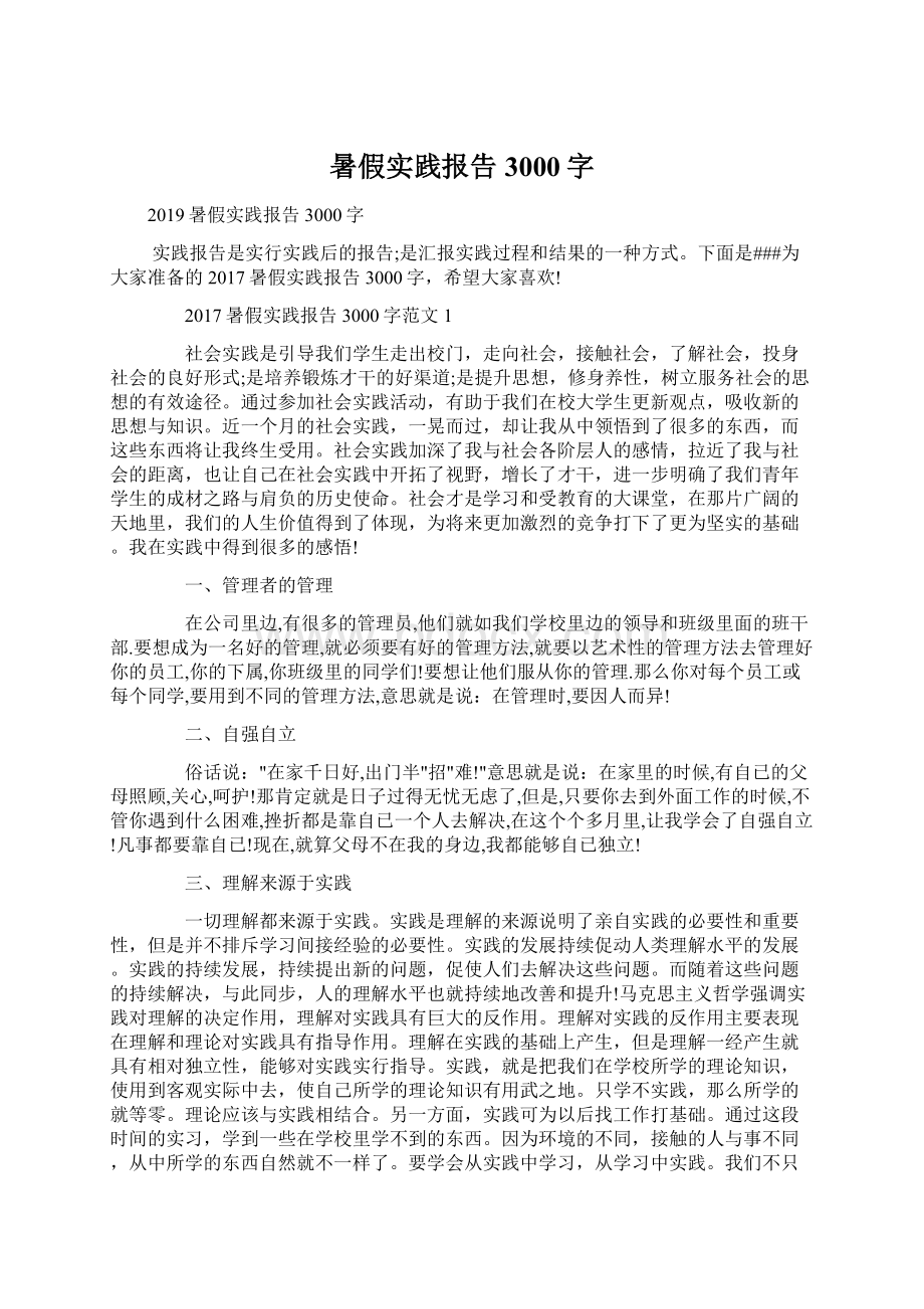 暑假实践报告3000字Word格式.docx