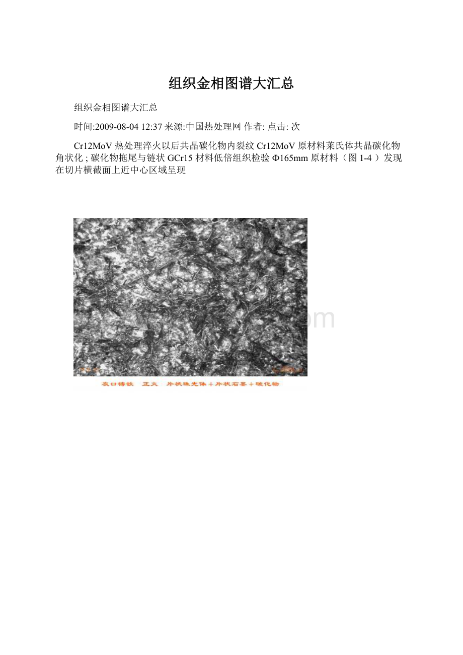 组织金相图谱大汇总Word格式文档下载.docx_第1页