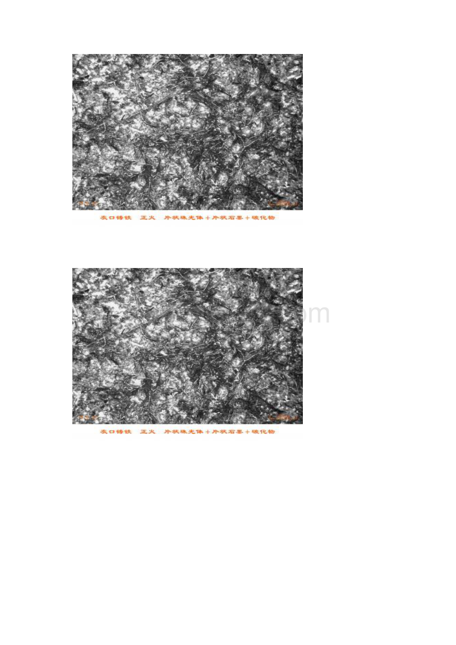 组织金相图谱大汇总Word格式文档下载.docx_第2页