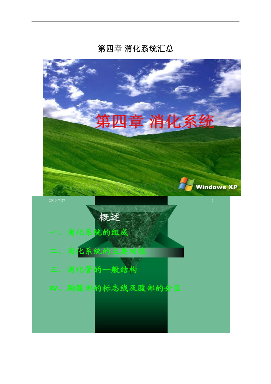 第四章 消化系统汇总.docx_第1页