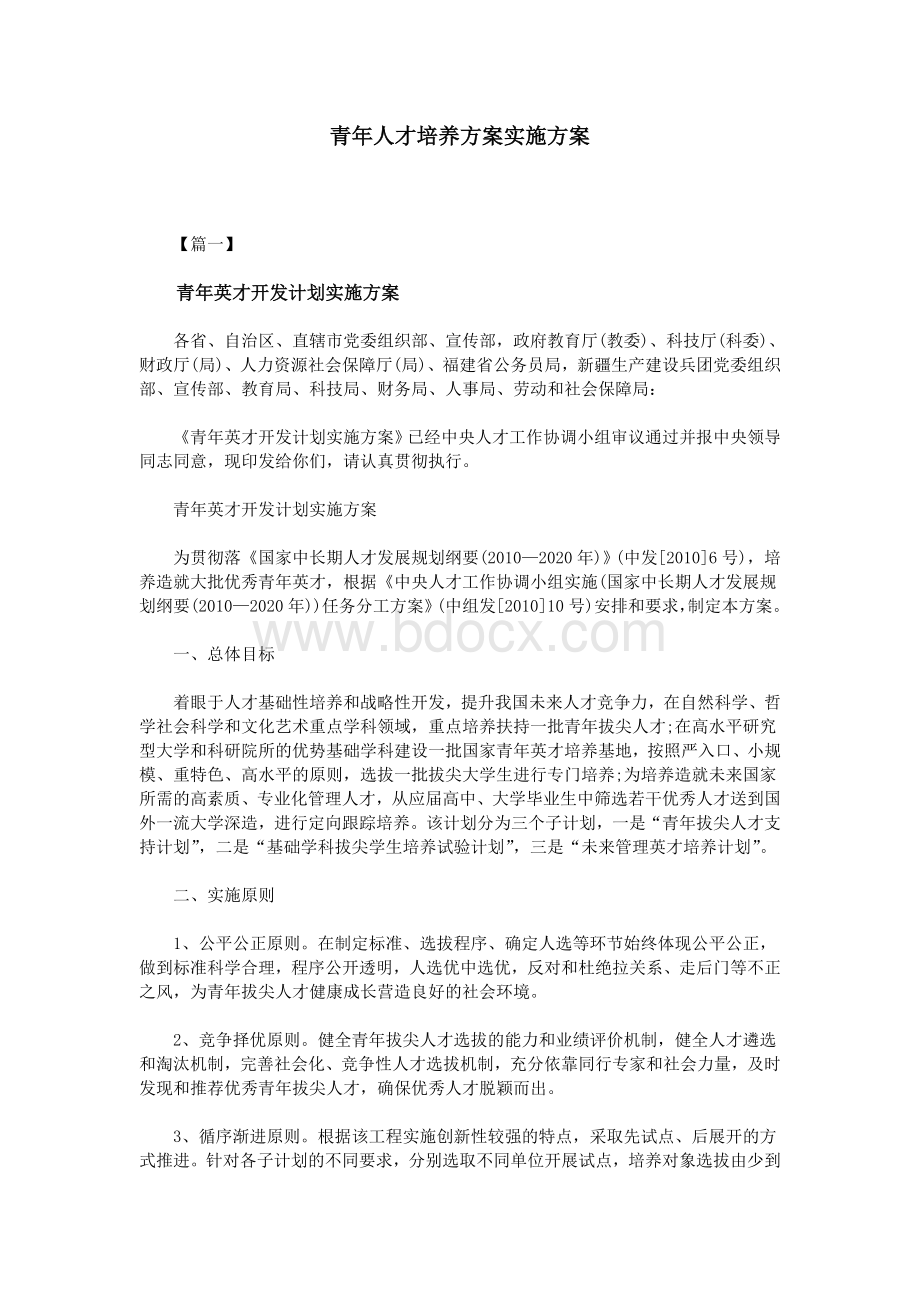 青年人才培养方案实施方案文档格式.doc