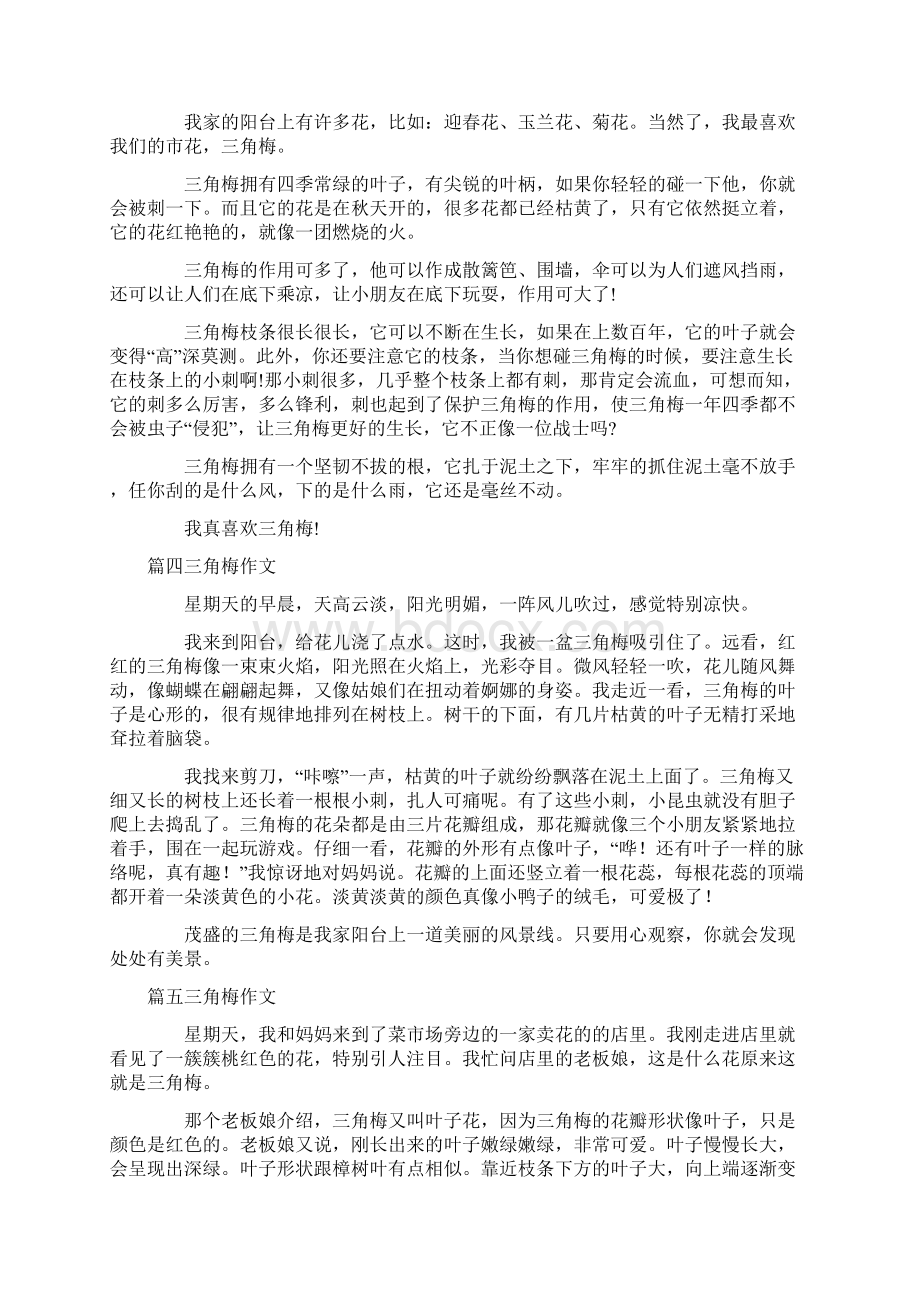 有趣的三角梅三年级作文精选十一篇.docx_第2页