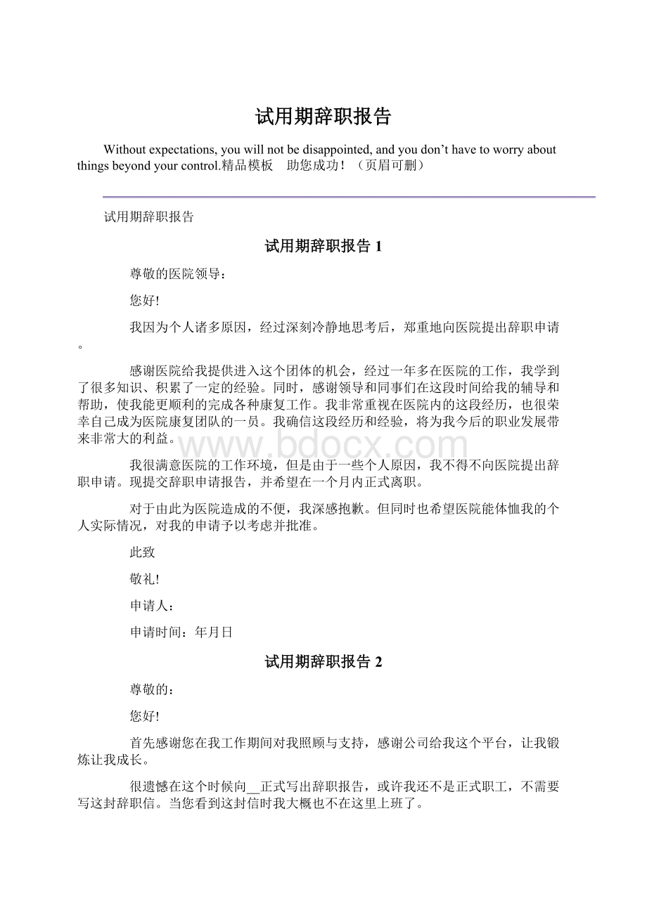 试用期辞职报告.docx