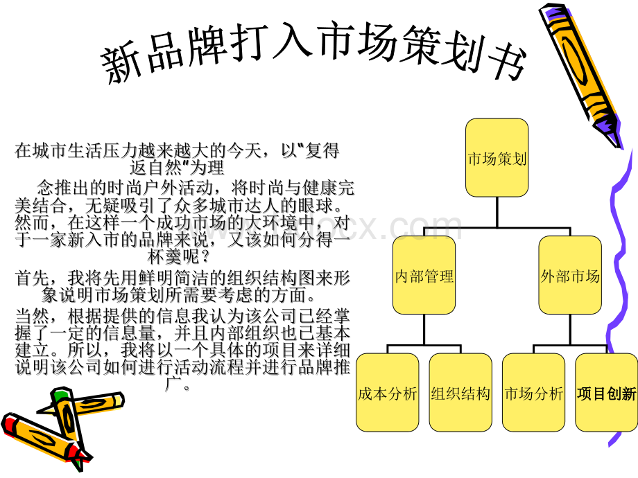 新品牌打入市场策划书.ppt