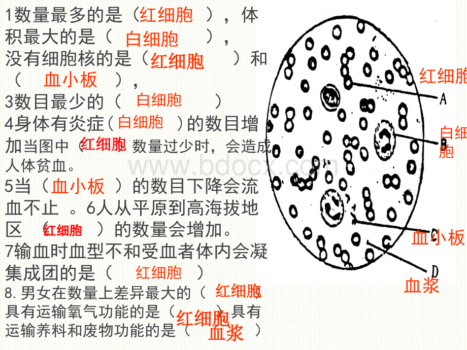 七年级生物下册第七单元第四章复习PPT文件格式下载.ppt_第3页