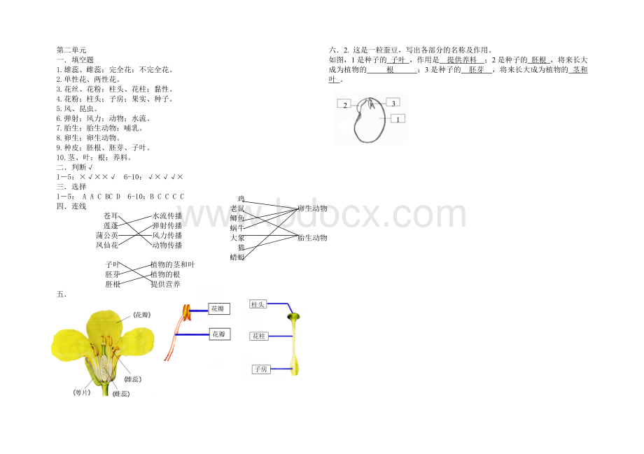 教科版四年级科学下册第二单元测试题.doc_第3页