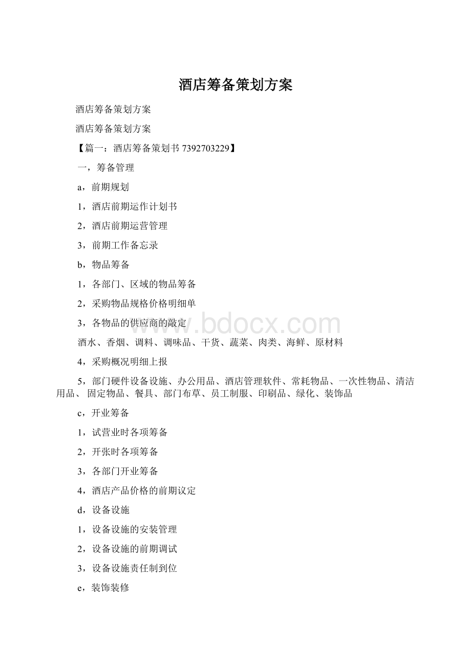 酒店筹备策划方案Word文档格式.docx