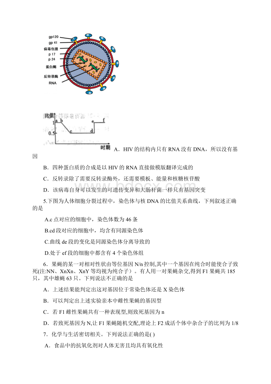 广西陆川县中学届高三期中考试理科综合试题Word文档格式.docx_第2页