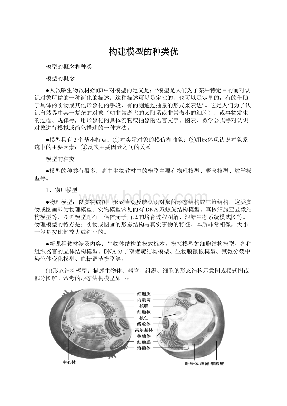 构建模型的种类优Word文档格式.docx