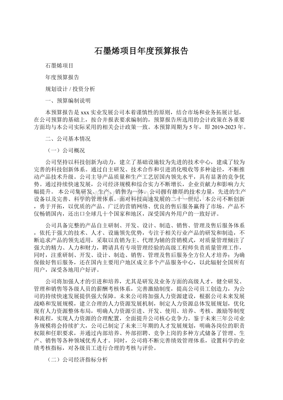 石墨烯项目年度预算报告文档格式.docx_第1页