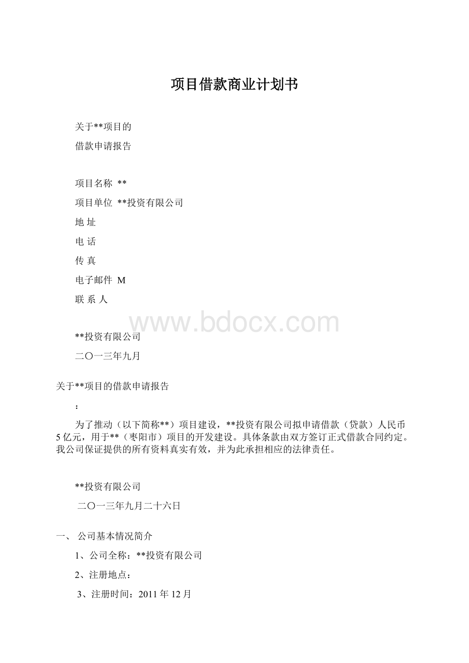 项目借款商业计划书.docx