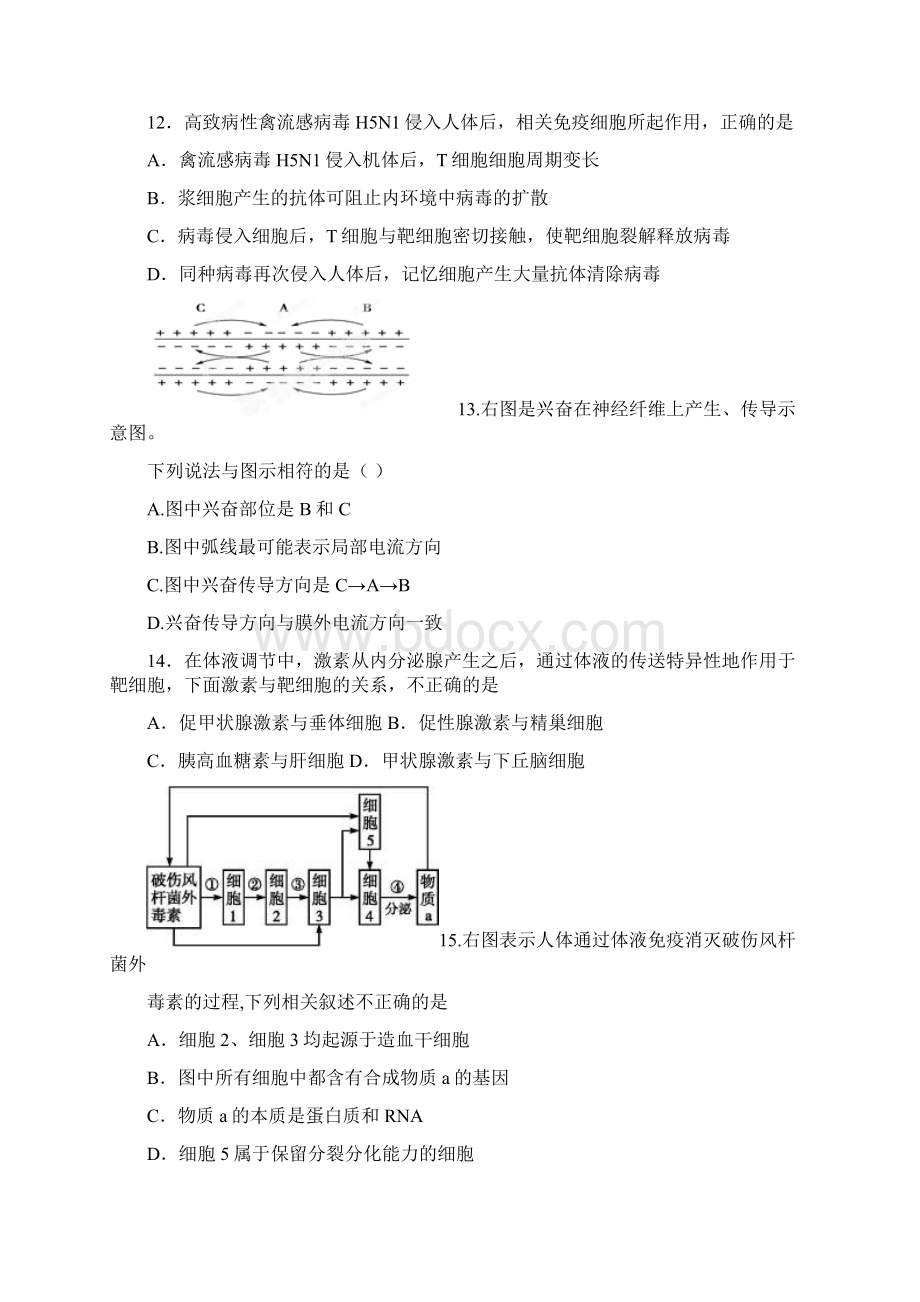 河南省新野县第三高级中学学年高二上学期第二次周考生物试题文档格式.docx_第3页