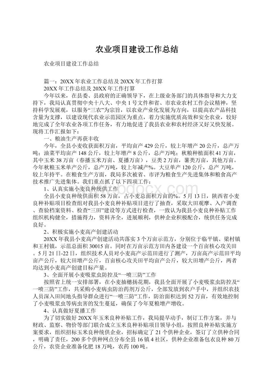 农业项目建设工作总结.docx