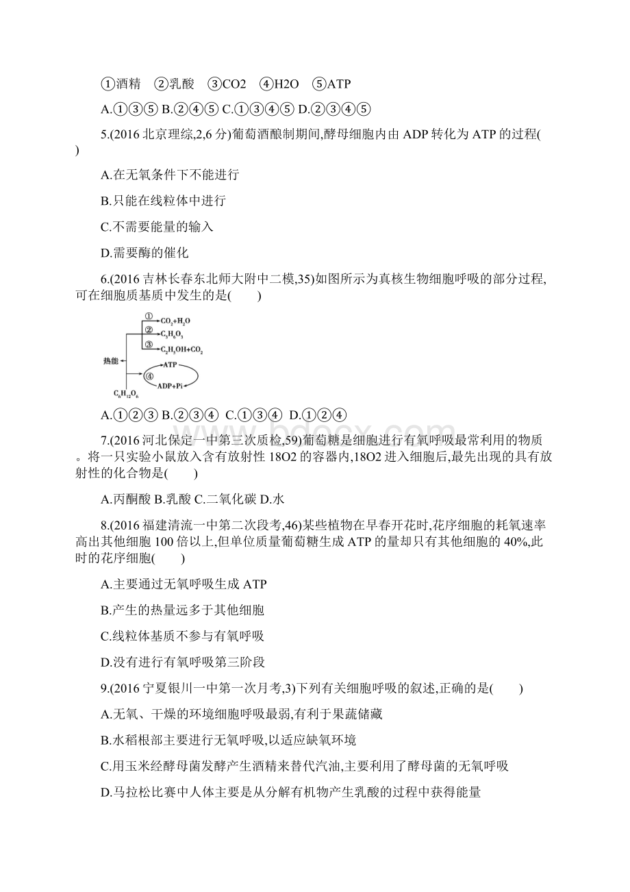 人教版 细胞的能量供应和利用单元测试文档格式.docx_第2页