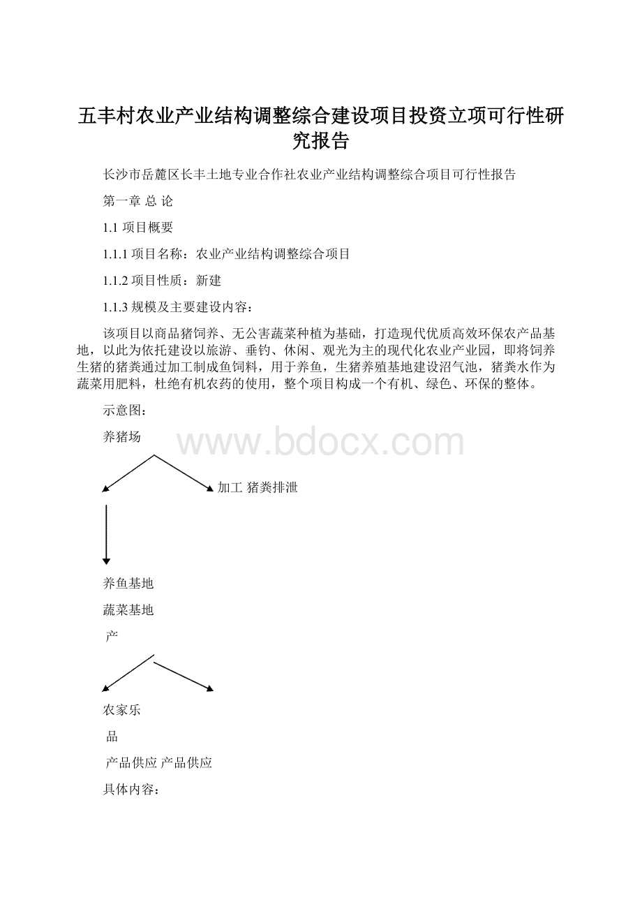 五丰村农业产业结构调整综合建设项目投资立项可行性研究报告Word文档格式.docx_第1页