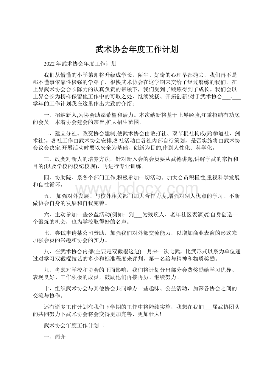 武术协会年度工作计划.docx