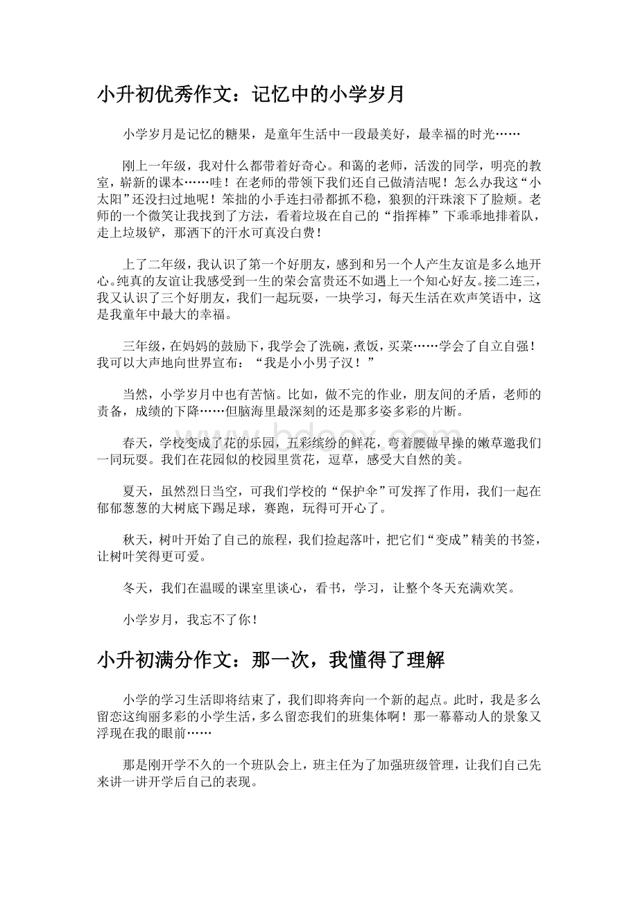 小升初优秀作文Word文档格式.doc