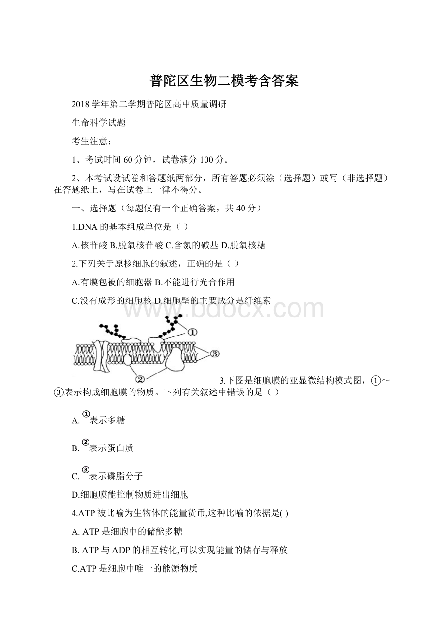 普陀区生物二模考含答案Word格式文档下载.docx