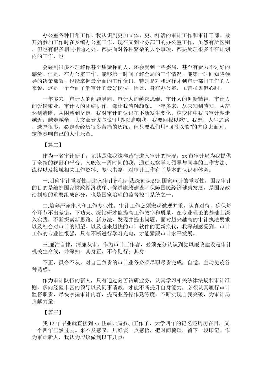 审计新人工作心得5篇.docx_第3页