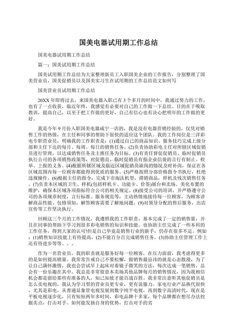 国美电器试用期工作总结Word下载.docx