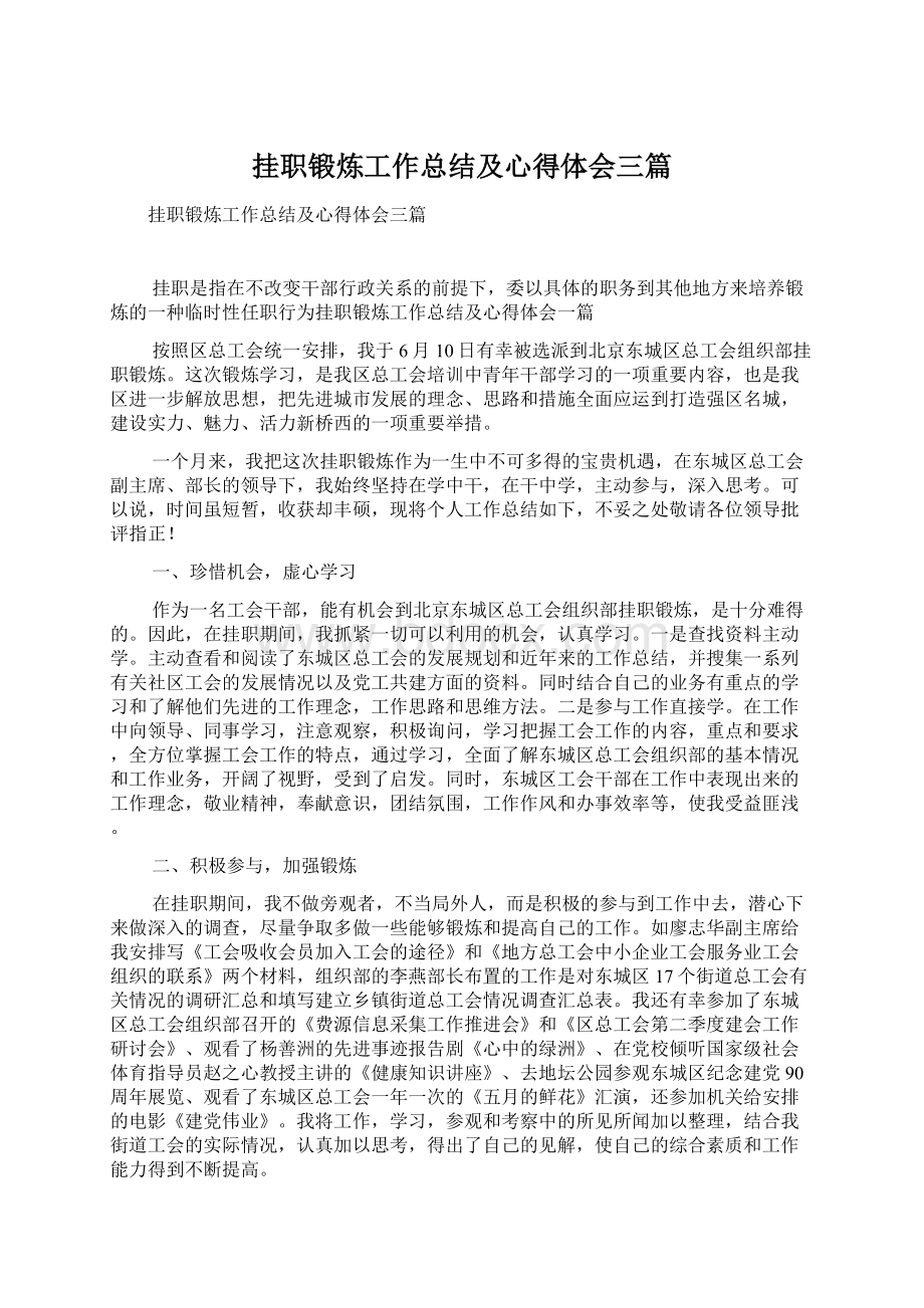 挂职锻炼工作总结及心得体会三篇.docx