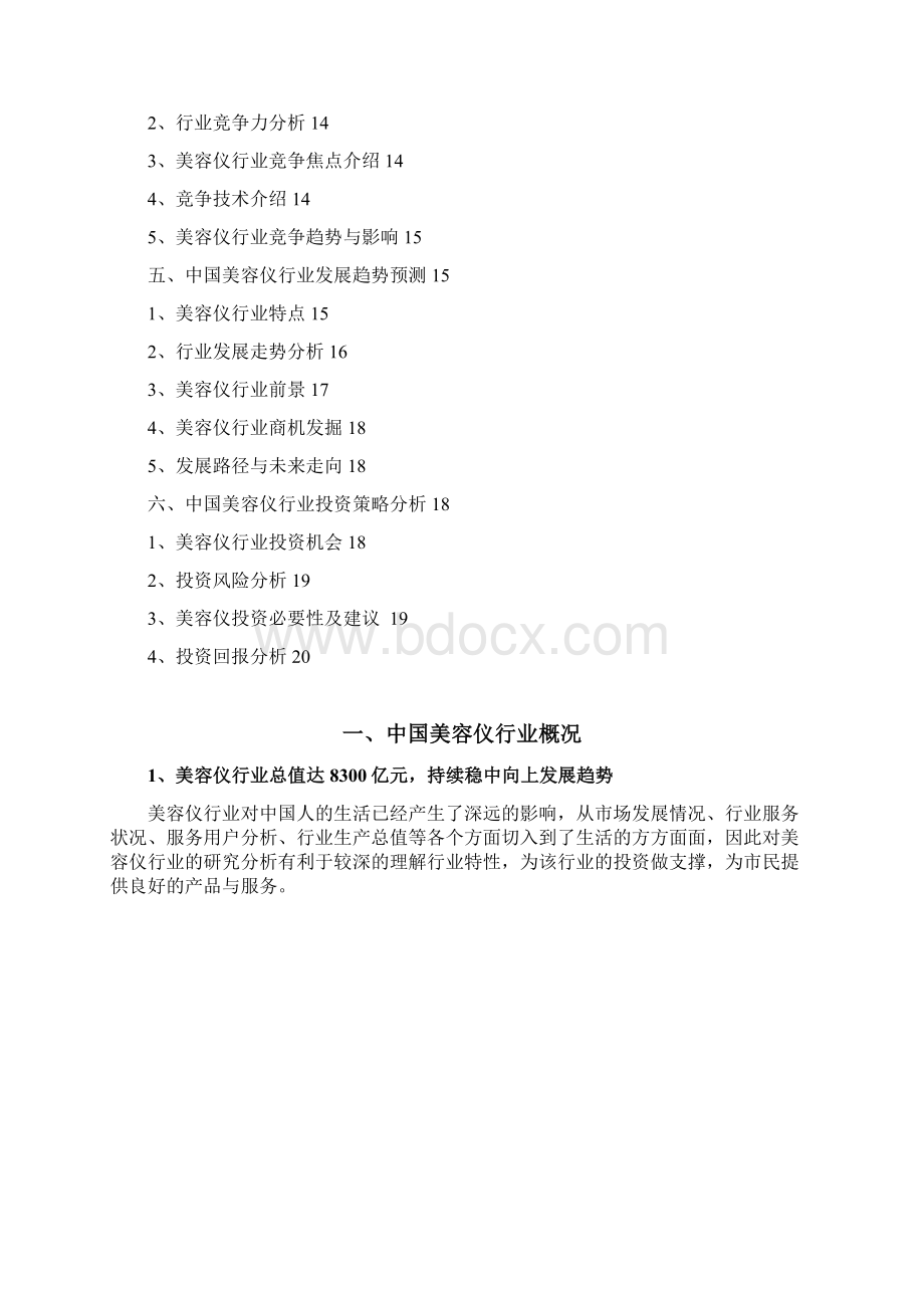 美容仪行业分析研究报告Word格式文档下载.docx_第2页