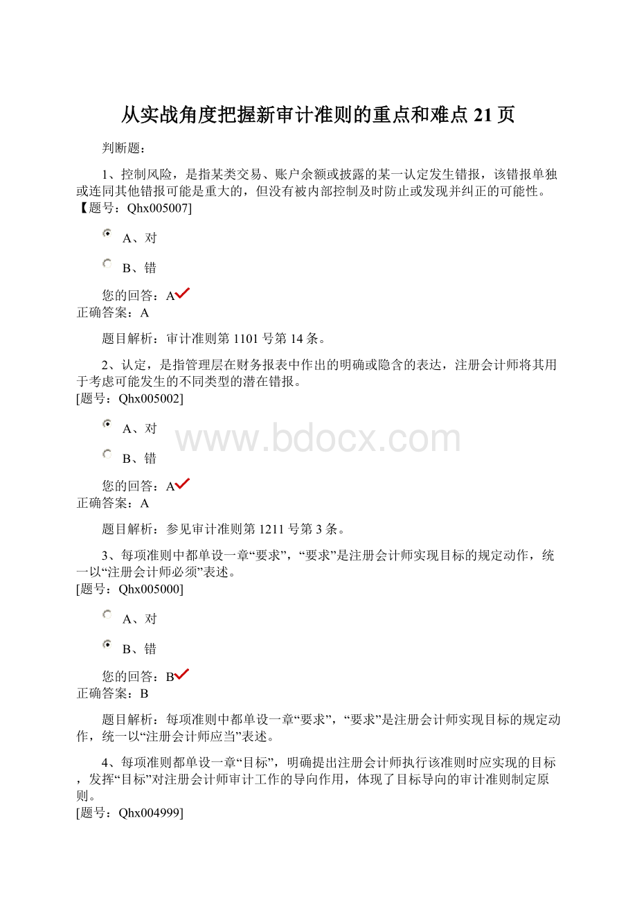 从实战角度把握新审计准则的重点和难点21页Word格式文档下载.docx