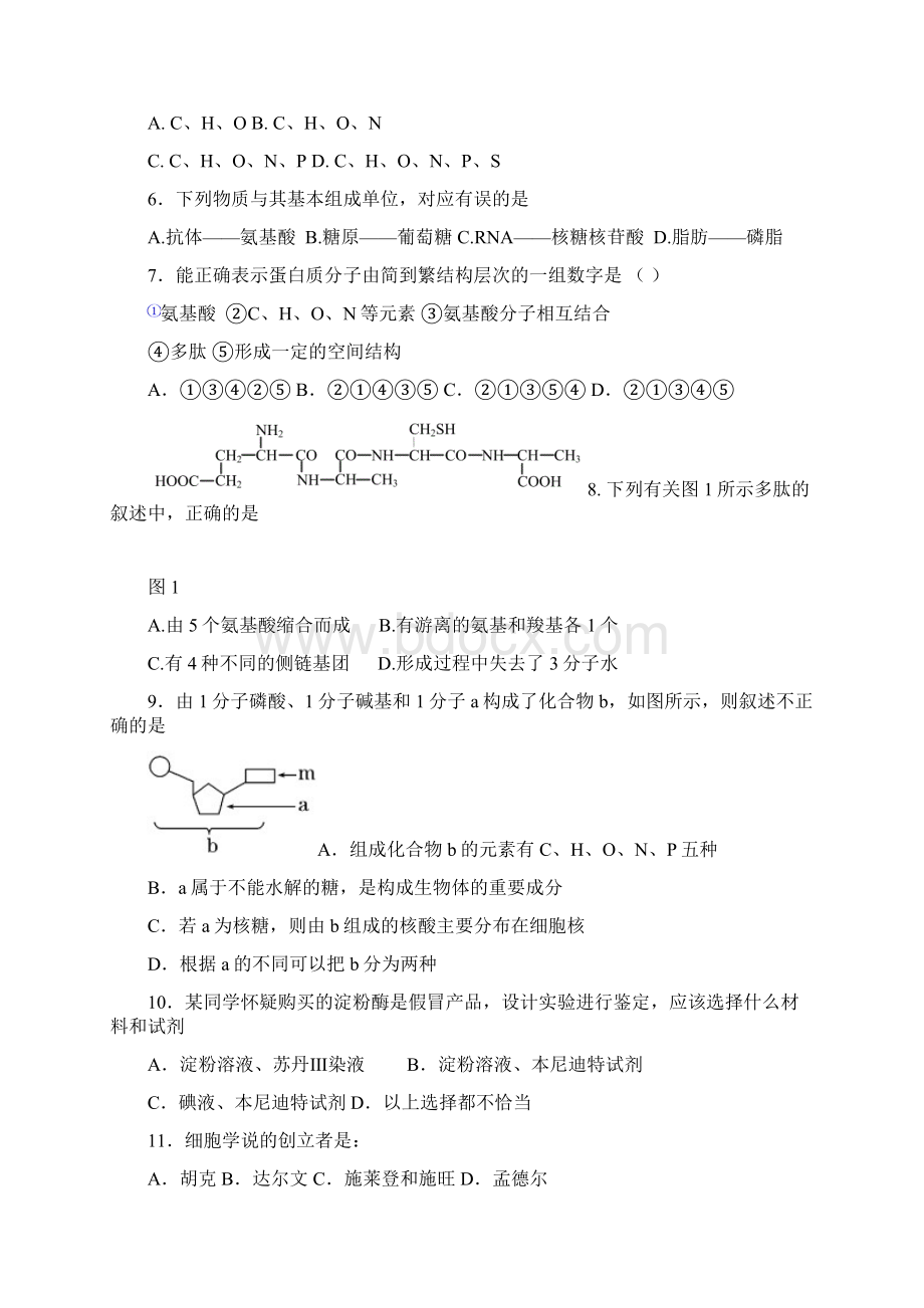 北京市第六十六中学学年高二上学期期中考试生物试题Word下载.docx_第2页