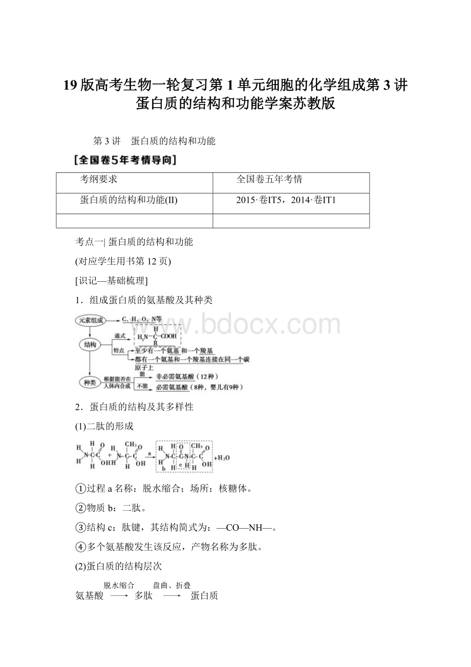 19版高考生物一轮复习第1单元细胞的化学组成第3讲蛋白质的结构和功能学案苏教版Word文档格式.docx_第1页