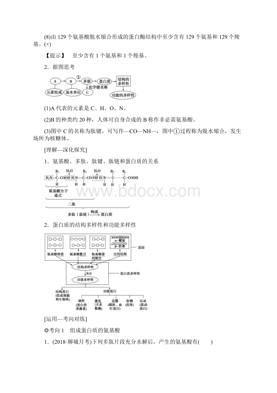 19版高考生物一轮复习第1单元细胞的化学组成第3讲蛋白质的结构和功能学案苏教版Word文档格式.docx_第3页