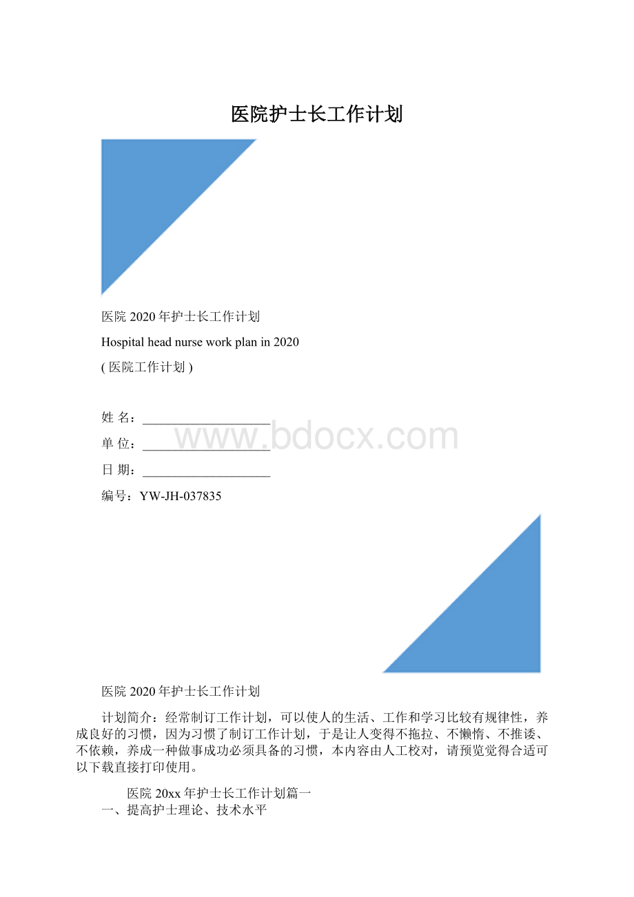 医院护士长工作计划Word格式文档下载.docx