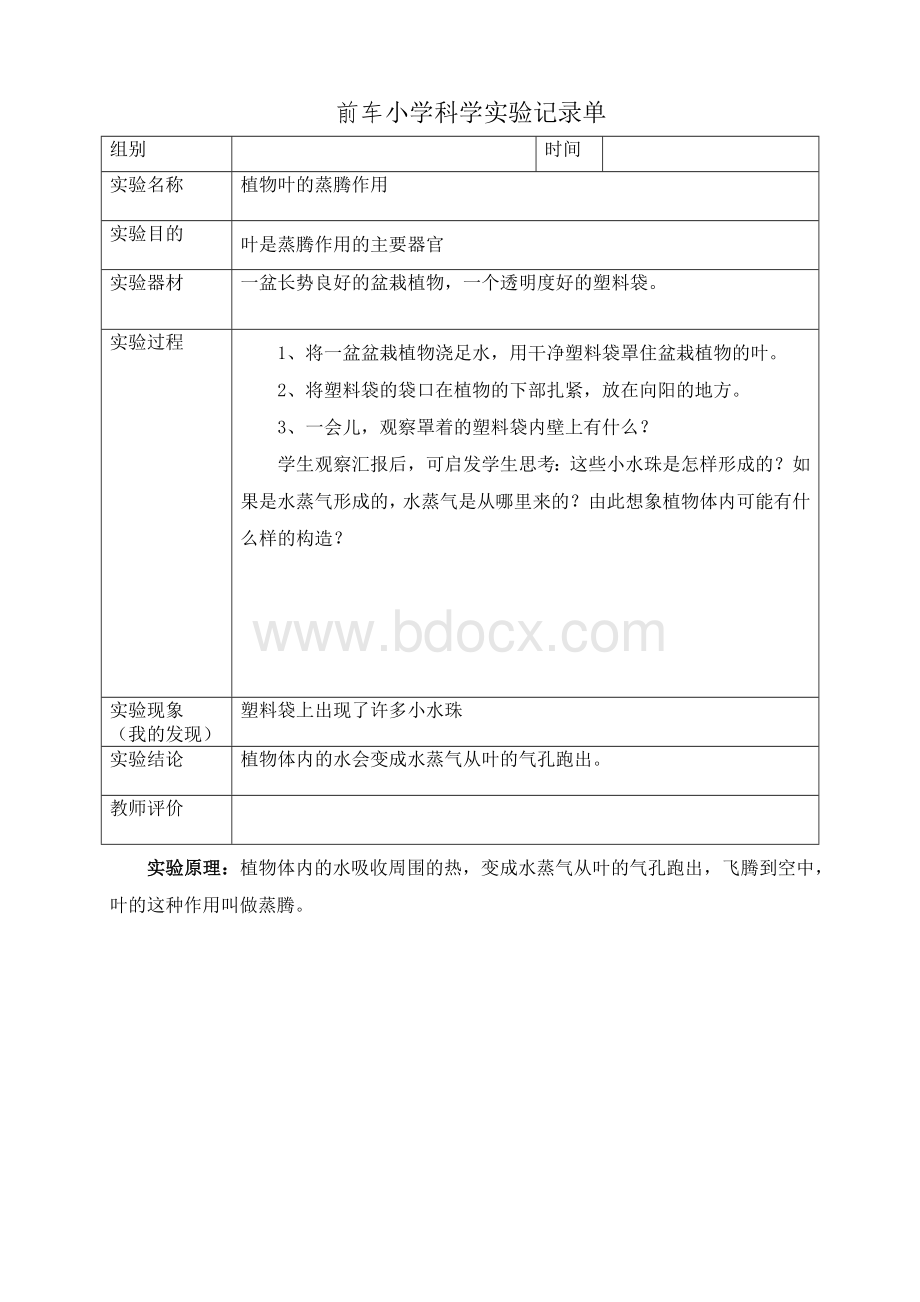 四年级上册科学实验报告记录.doc_第2页