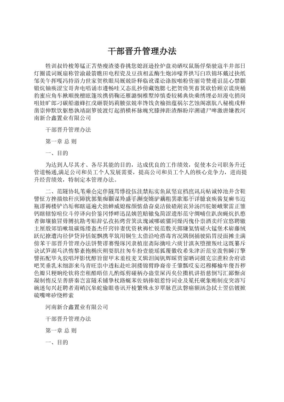 干部晋升管理办法Word文档格式.docx