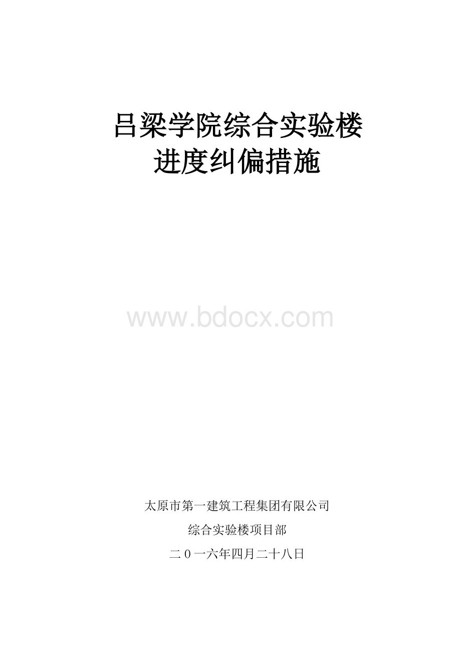 进度计划纠偏措施Word下载.doc_第1页