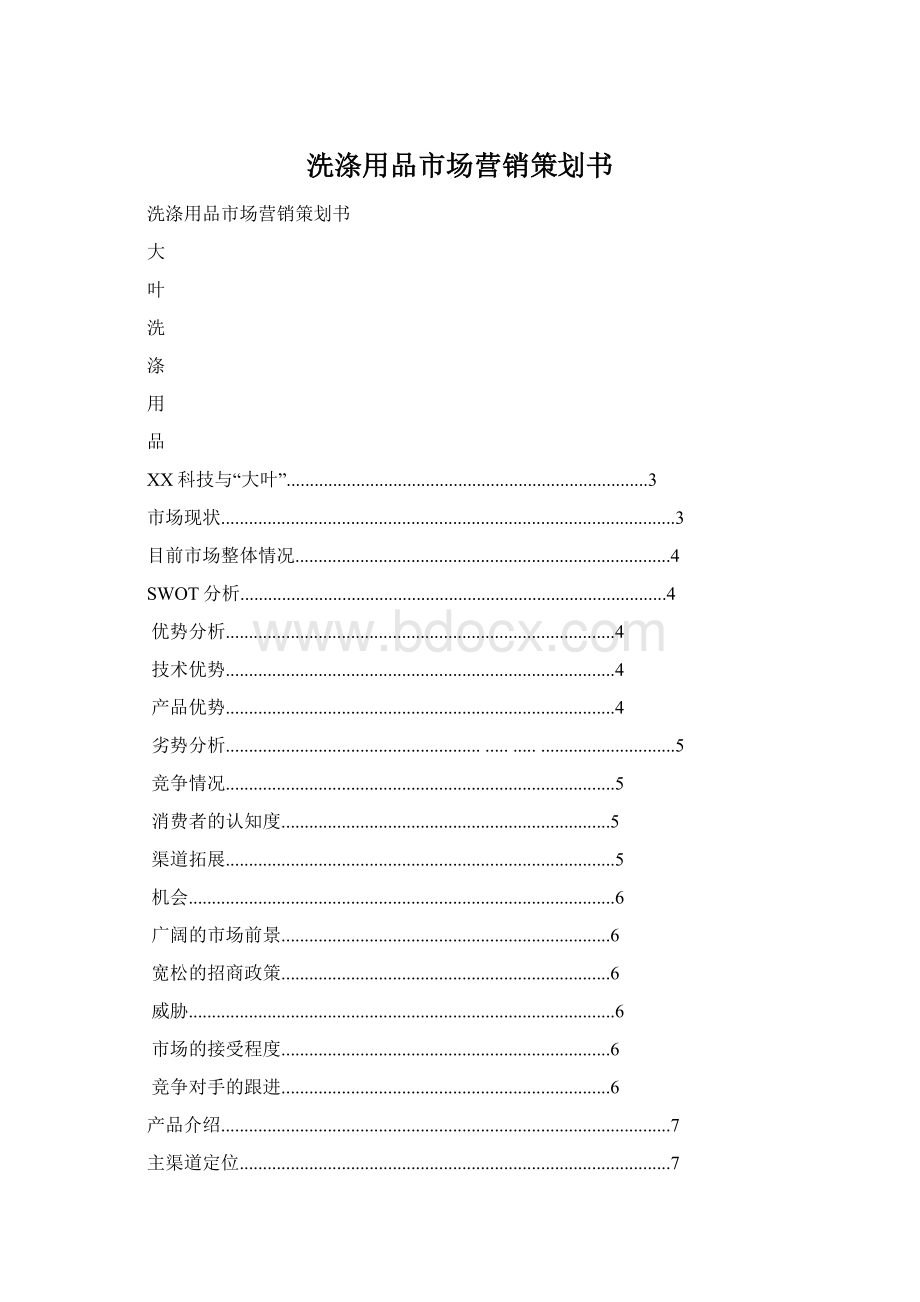 洗涤用品市场营销策划书.docx_第1页