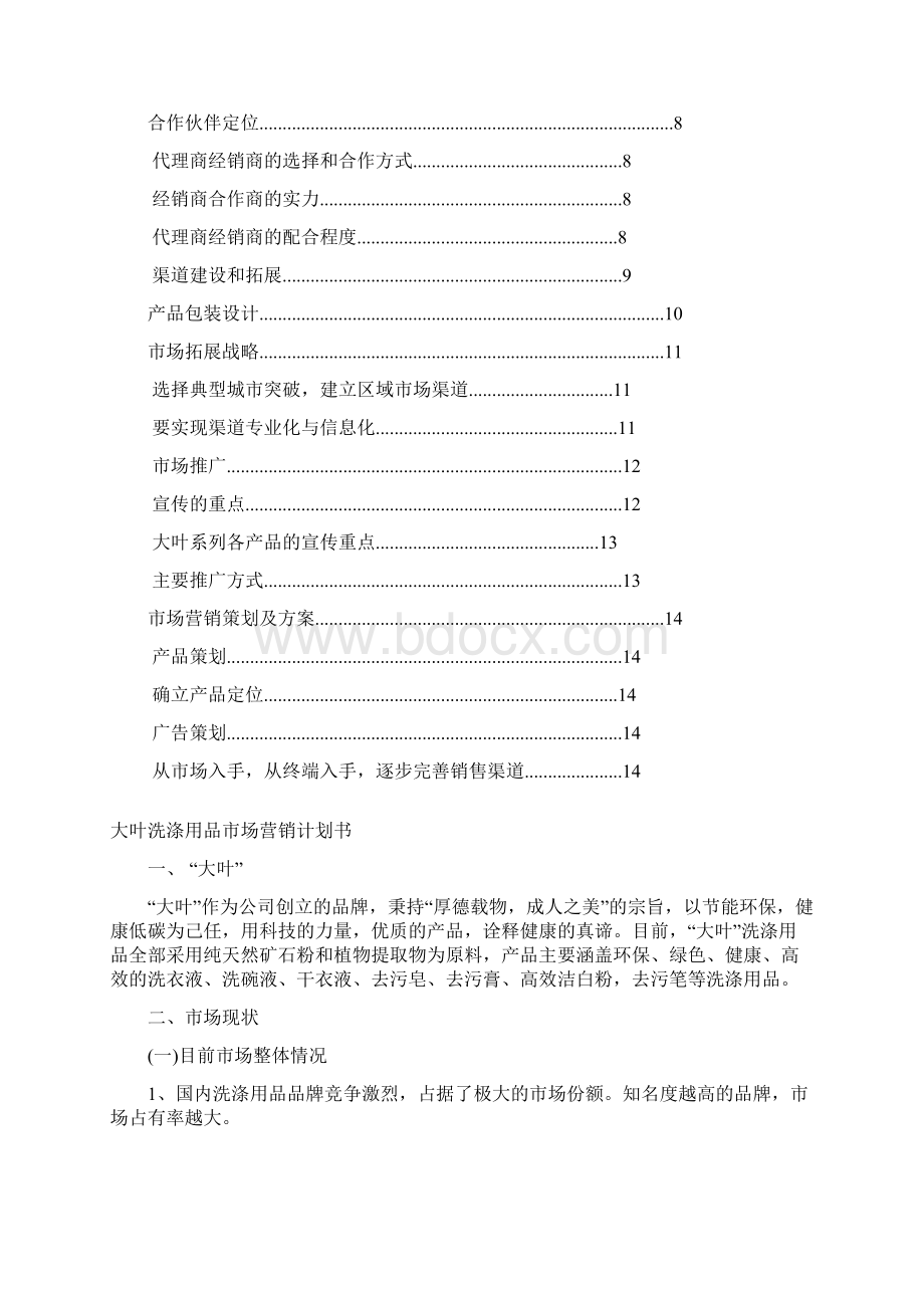 洗涤用品市场营销策划书.docx_第2页