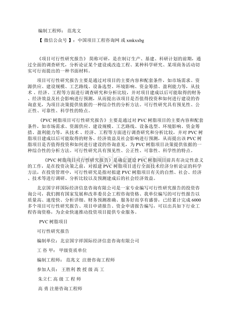 PVC树脂项目可行性研究报告立项模板Word格式文档下载.docx_第2页