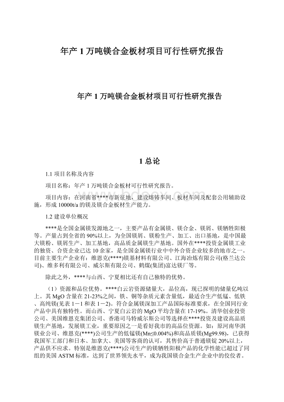 年产1万吨镁合金板材项目可行性研究报告Word格式文档下载.docx