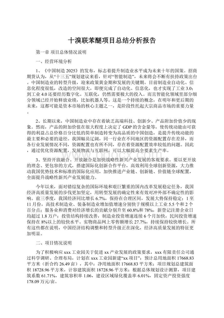 十溴联苯醚项目总结分析报告文档格式.docx