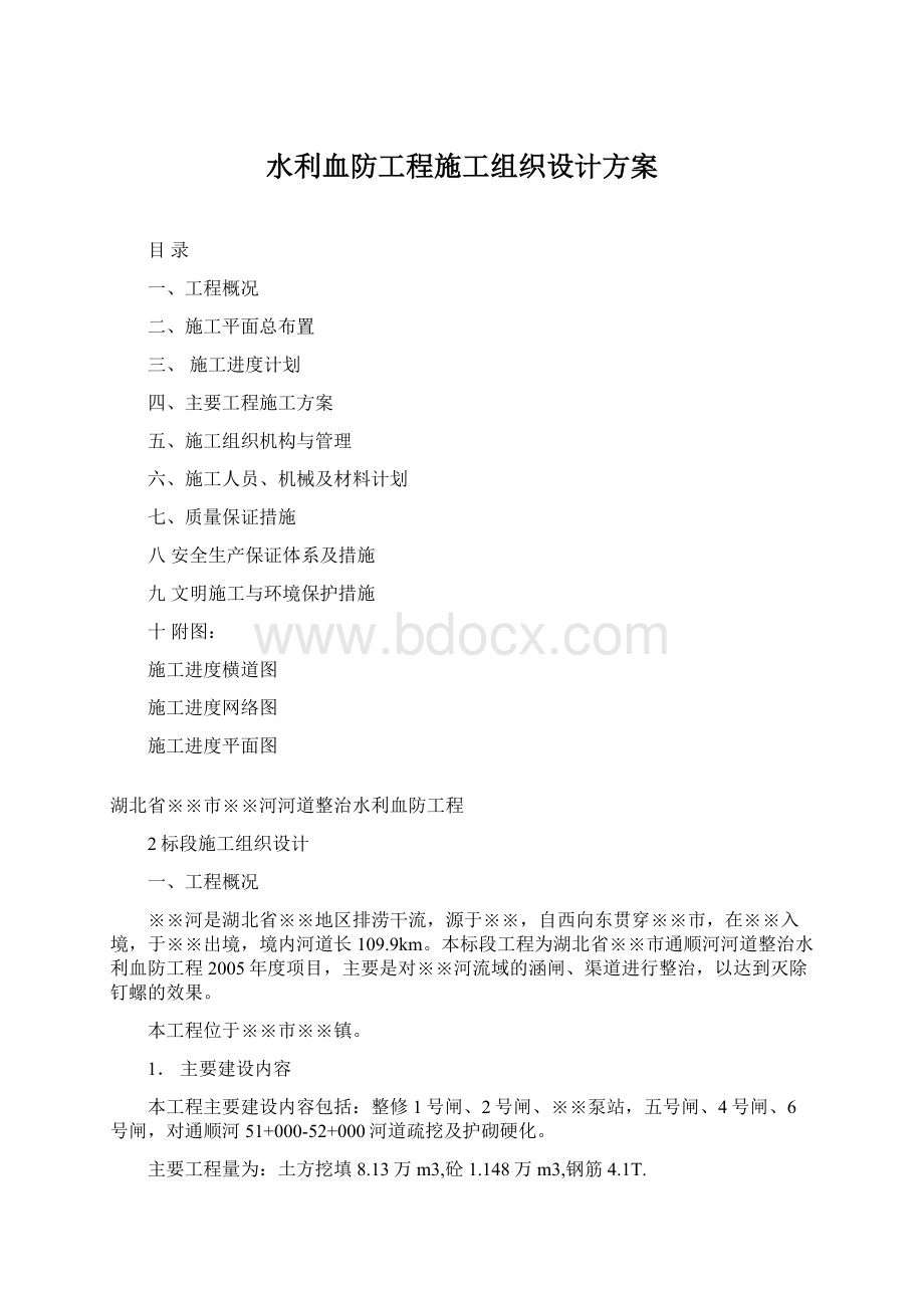 水利血防工程施工组织设计方案Word格式.docx