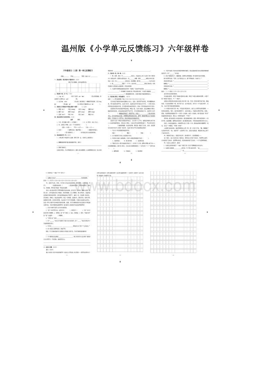 温州版《小学单元反馈练习》六年级样卷文档格式.docx